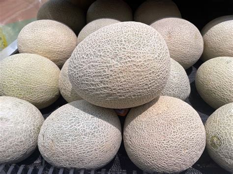 cantaloupe recall by state